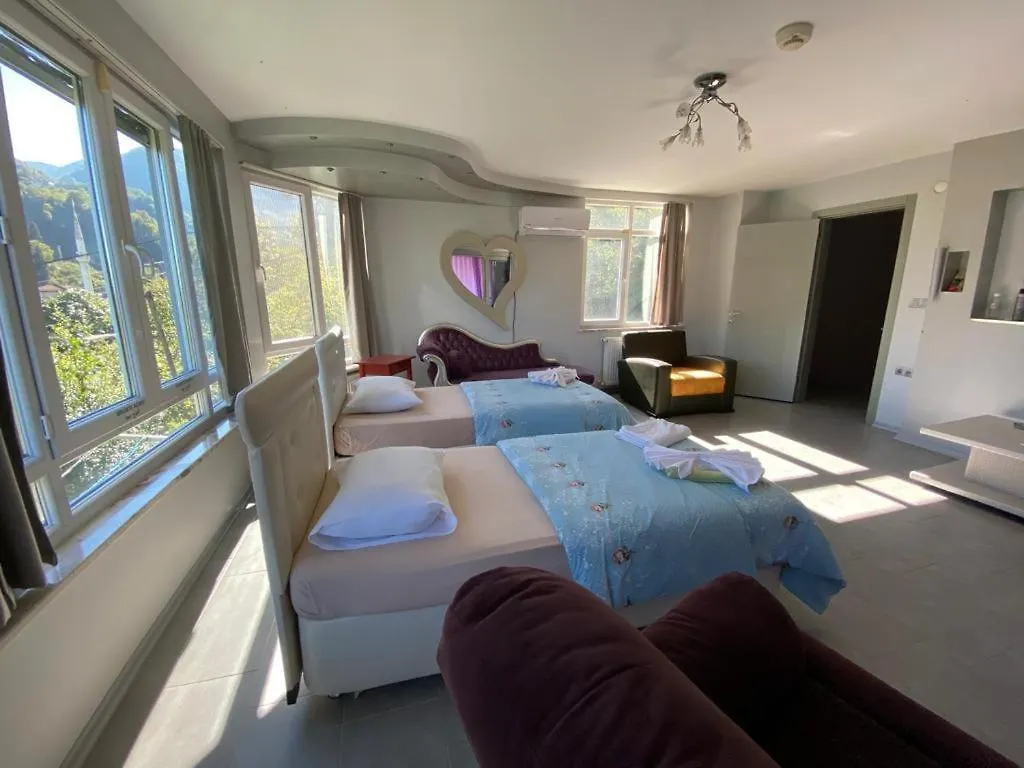 Cosy Park Apartment Trabzon