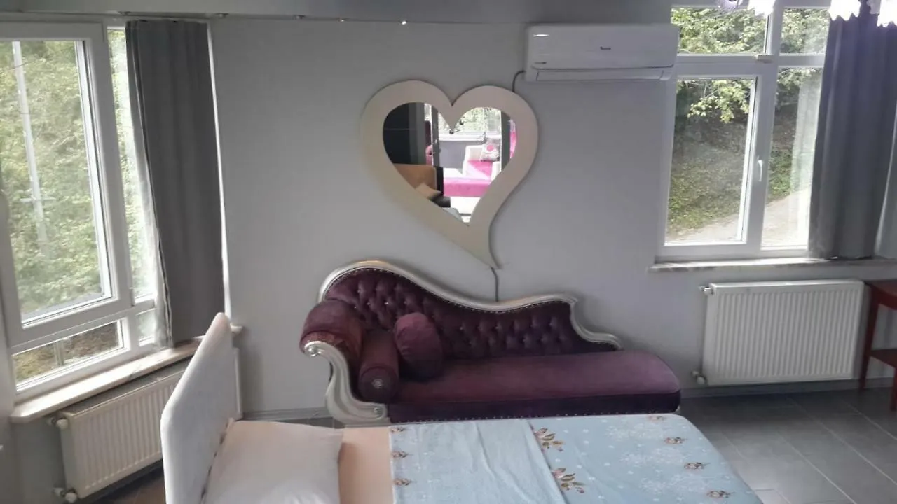 Cosy Park Apartment Trabzon 0*,